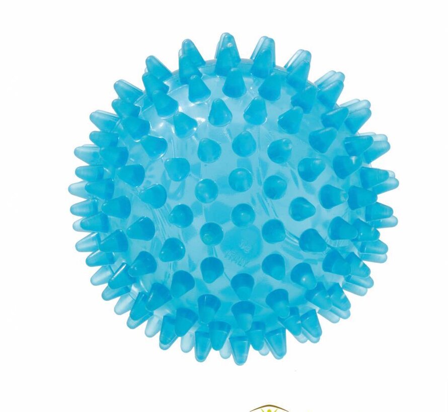 Harde egelbal Reflexbal