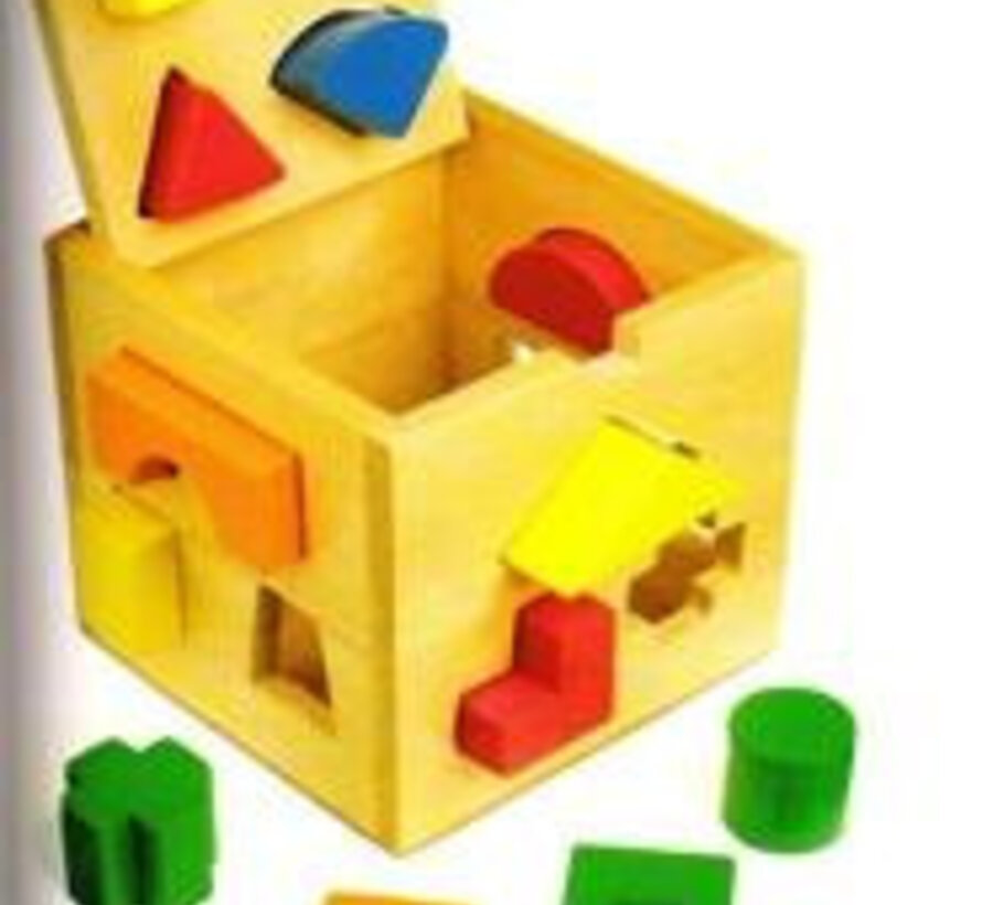 Vormenkubus geometrische vormen