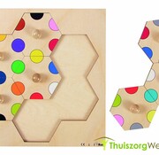 Honingraat inlegpuzzel met gekleurde cirkels