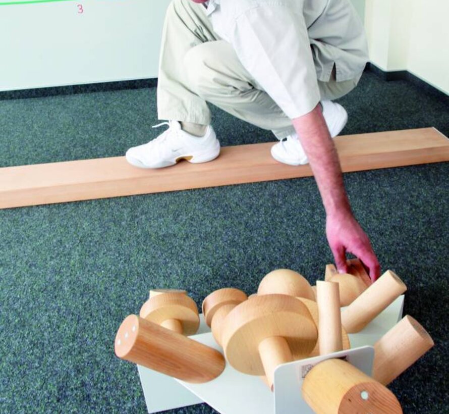 WorkPark WP5 Magnetische grijpwereld 19-delig