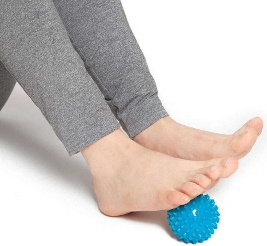 Kleine harde egel reflexbal