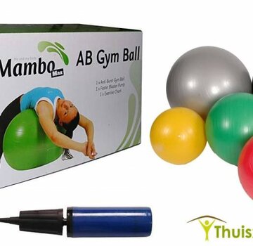Ergonomisch zitbal