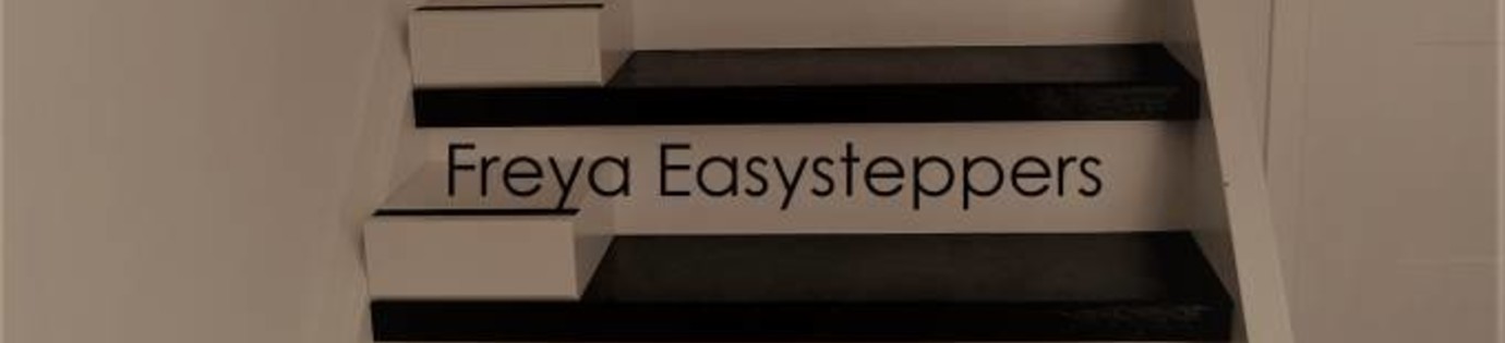 Easysteppers - Hét traplift alternatief