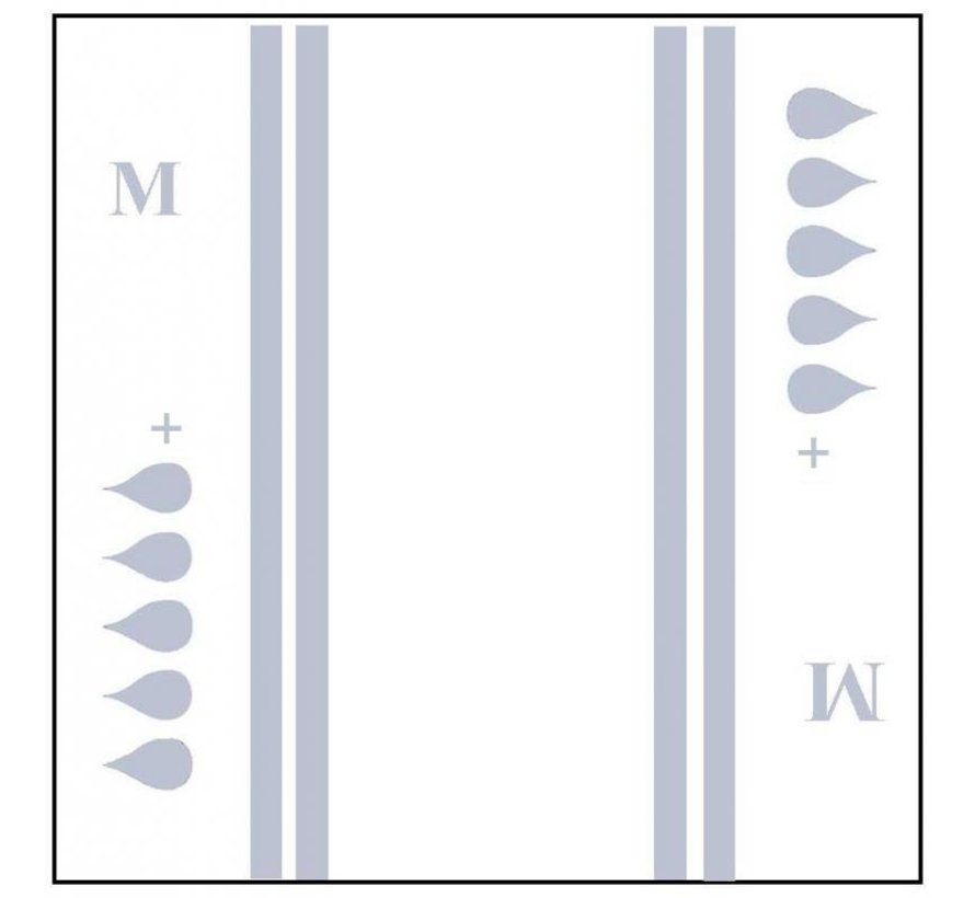 Slip 'Maxi plus' - grijs 4 x 20 stuks