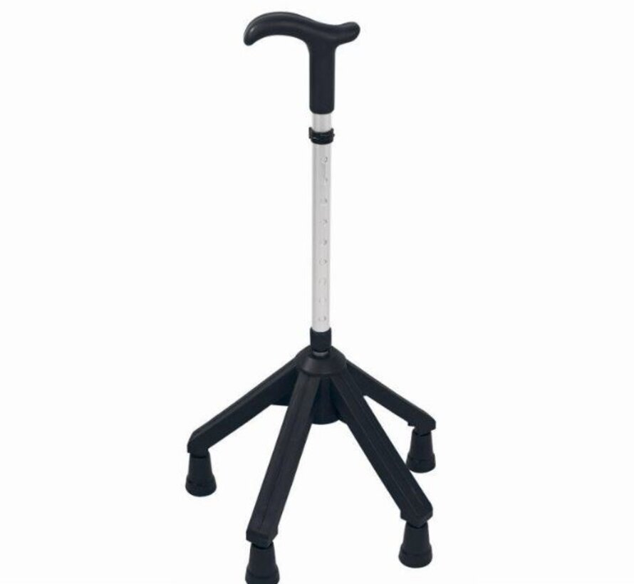 Quadro wandelstok Rebotec