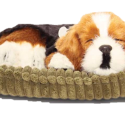 Levensecht huisdier (diverse rassen)