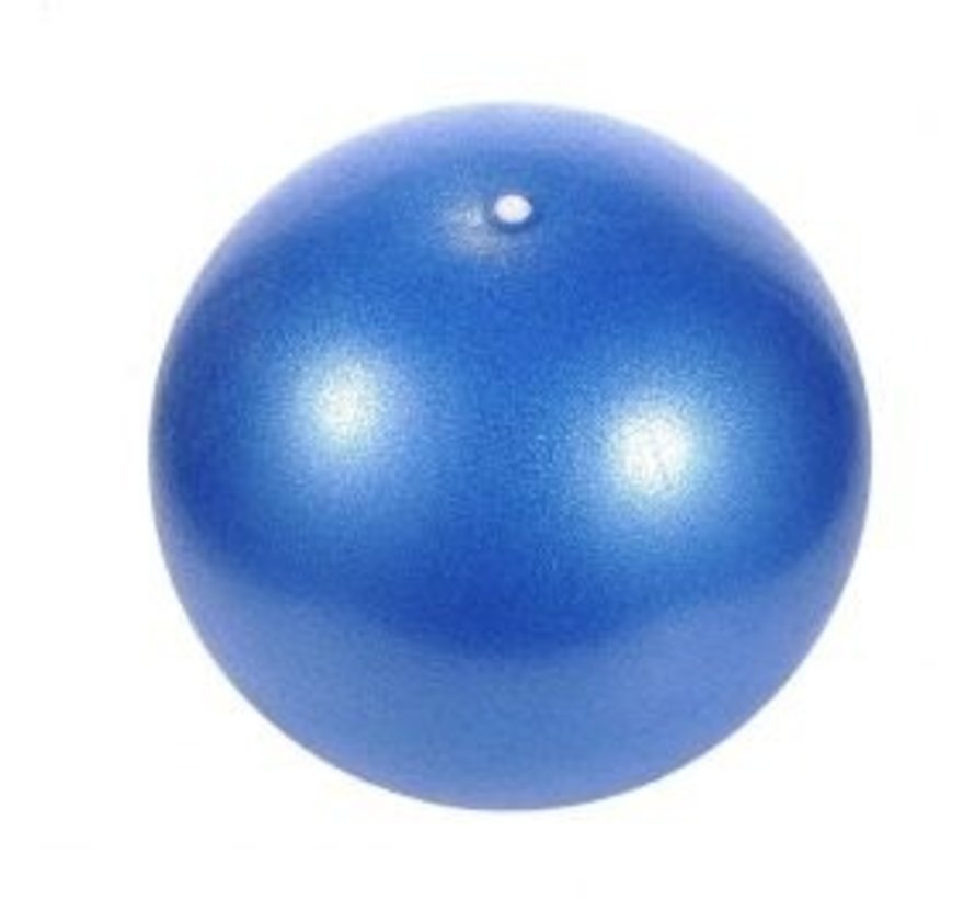 ballonbal kopen - ThuiszorgWebshop.nl