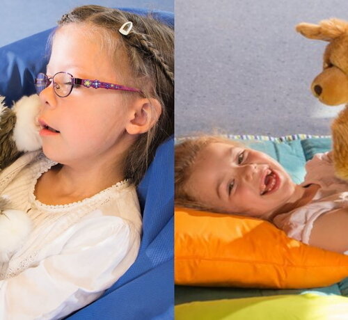 Knuffeldier Billy de poes of Brando de hond Joyk 47cm