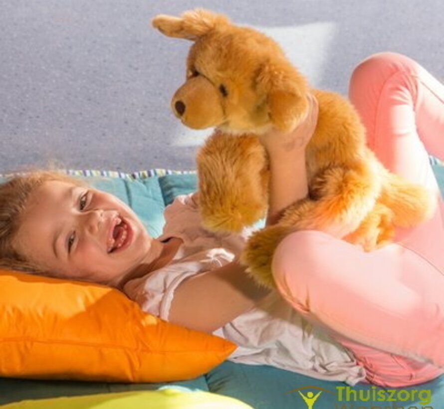 Knuffeldier Billy de poes of Brando de hond Joyk 47cm