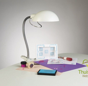 Daylight flexilight lamp D31120