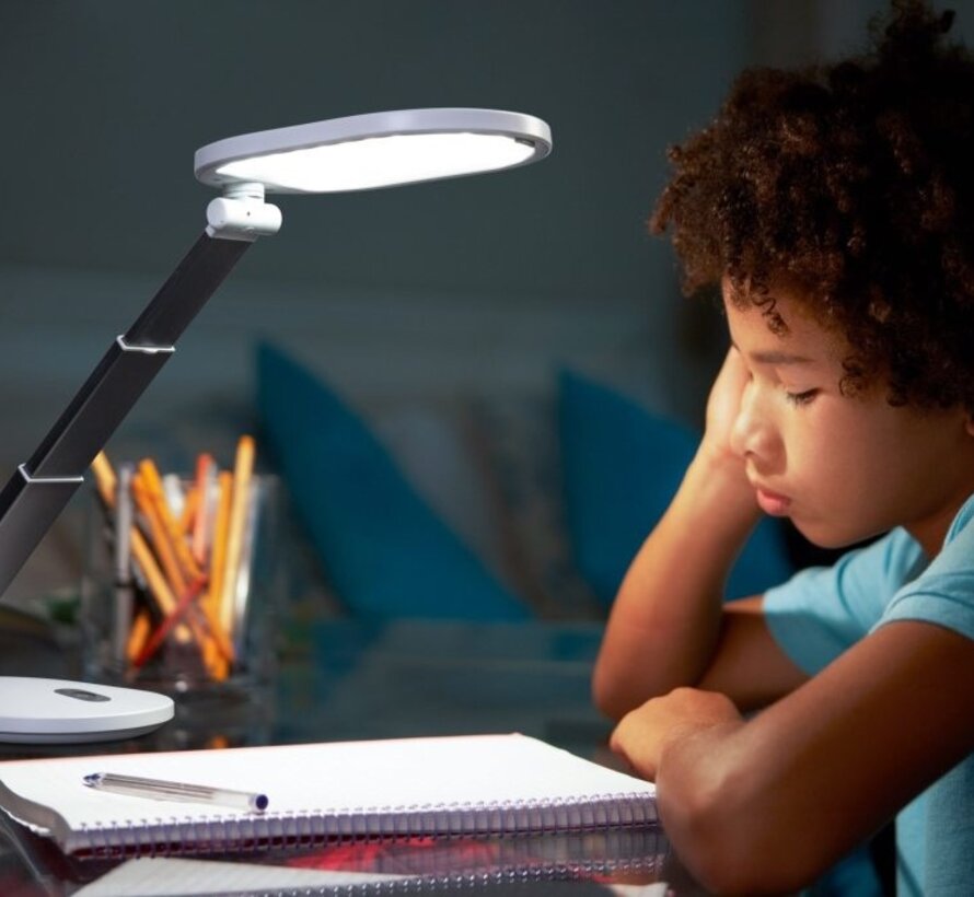 DAYLIGHT Foldi Go E35050 tafellampje met batterij