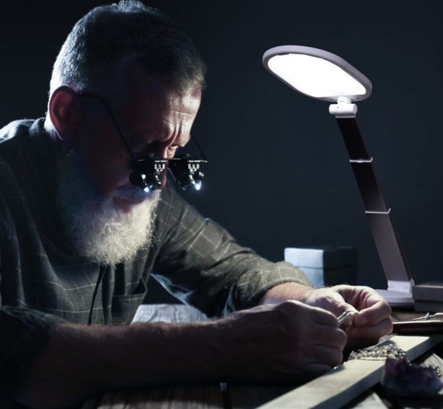 DAYLIGHT Foldi Go E35050 tafellampje met batterij