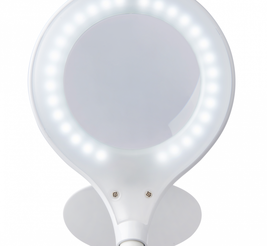 LED Loeplamp