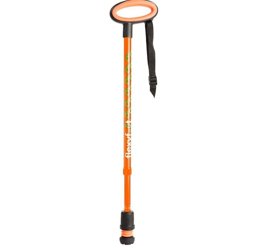 Wandelstok met ovalen handvat