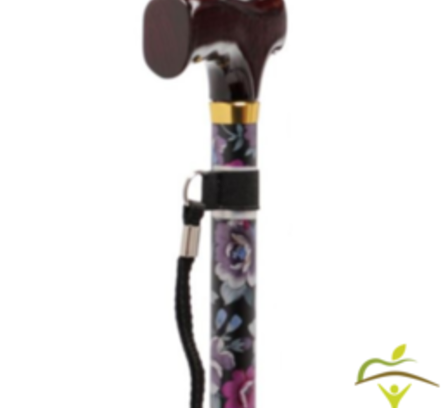 Wandelstok met stabilisator