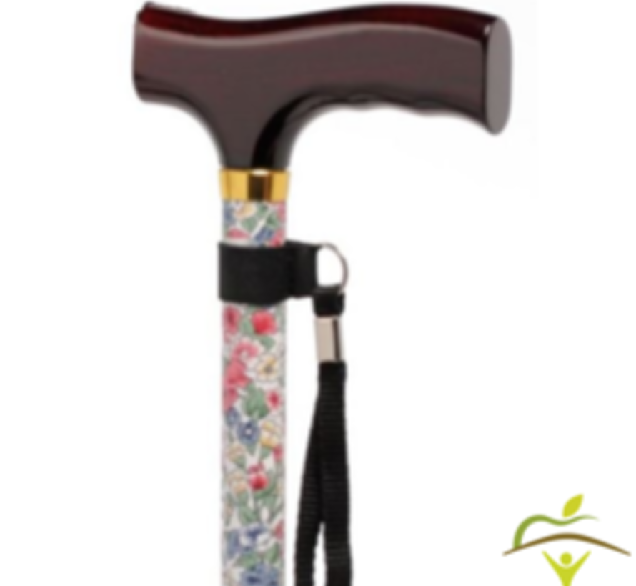 Wandelstok met stabilisator