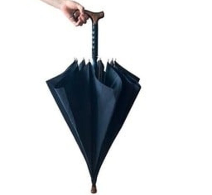 Paraplu en wandelstok in 2