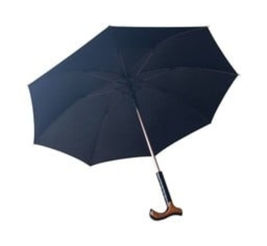 Paraplu en wandelstok in 2