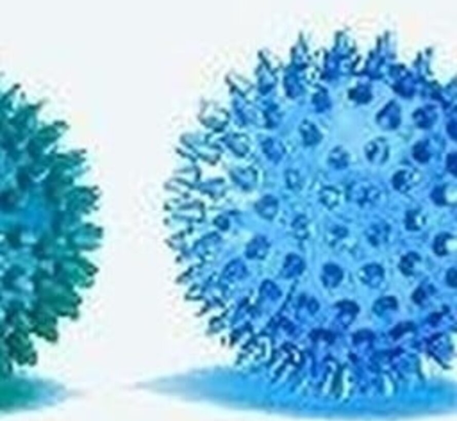 Harde egelbal Reflexbal