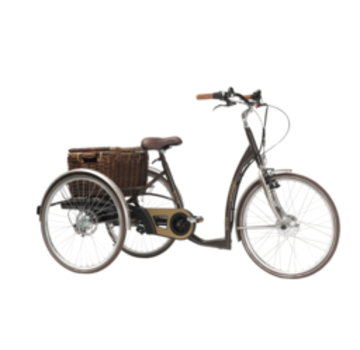 Moderne elektrische driewielfiets