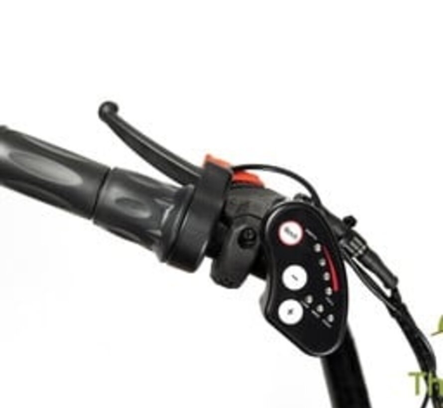 Moderne elektrische driewielfiets voor volwassenen