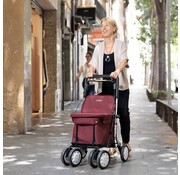 Carlett trolley - rollator & caddy in 1