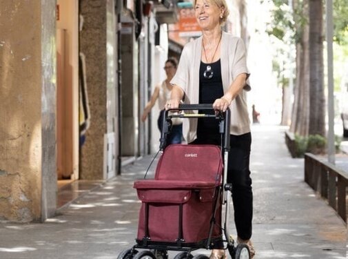 Carlett trolley - rollator & caddy in 1