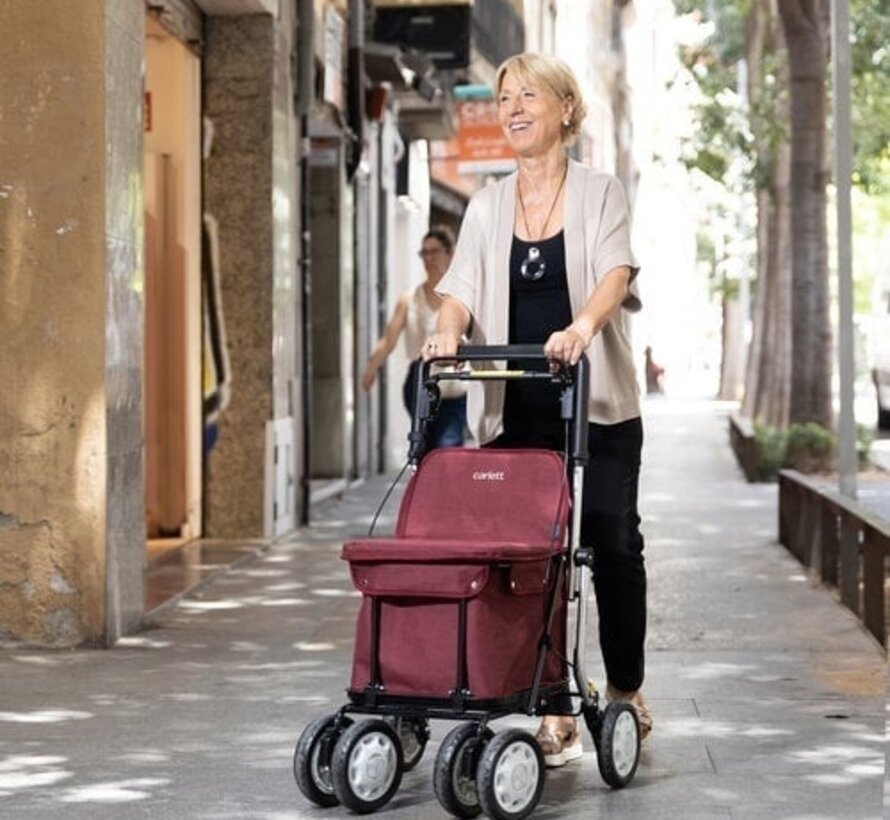 Carlett trolley - rollator & caddy in 1