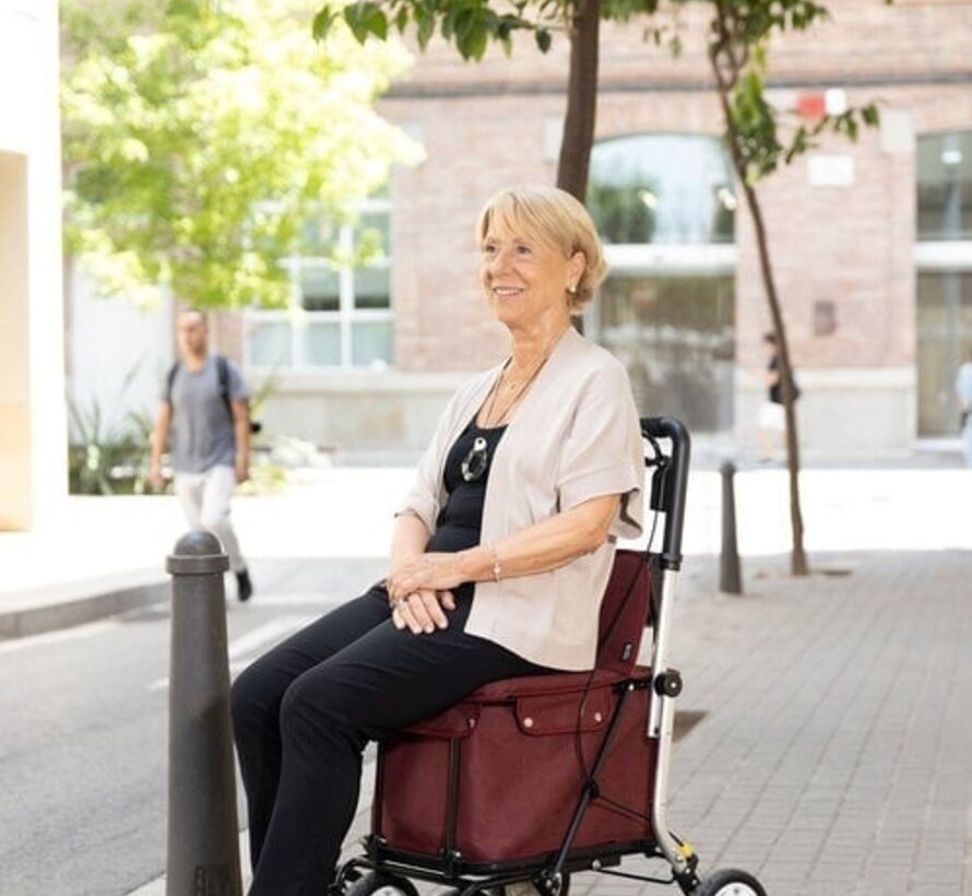 Carlett trolley - rollator & caddy in 1