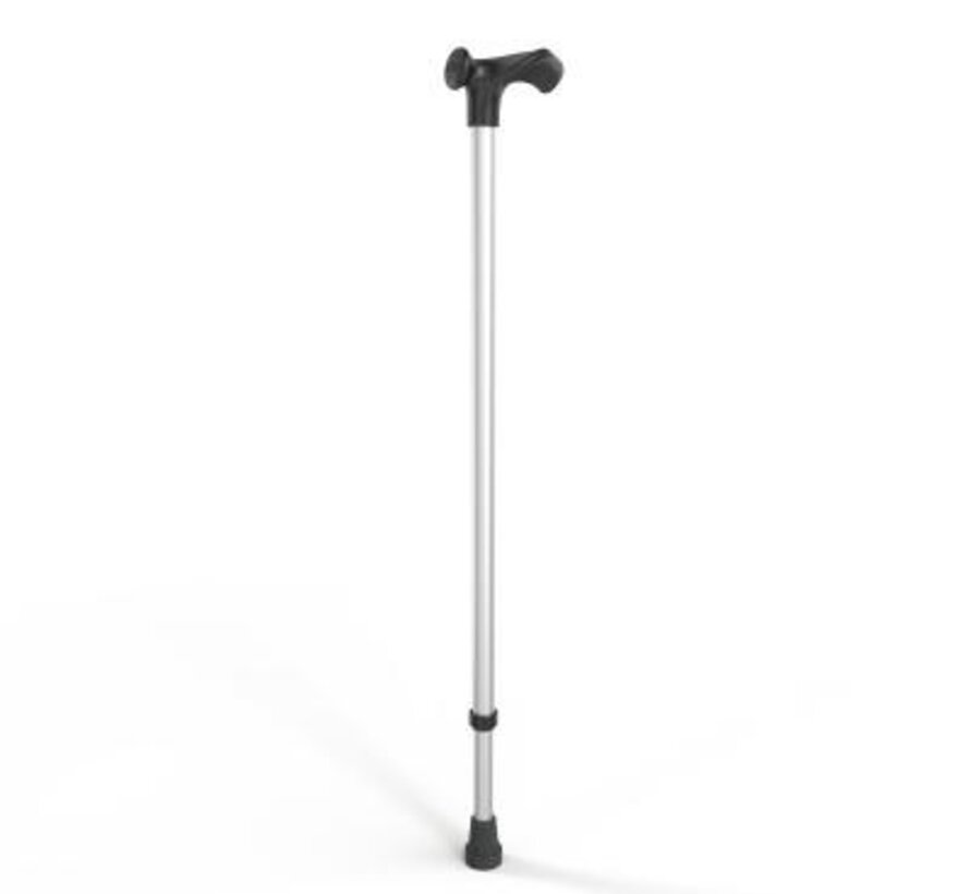 WANDELSTOK ANATOM. LINKS OF RECHTS