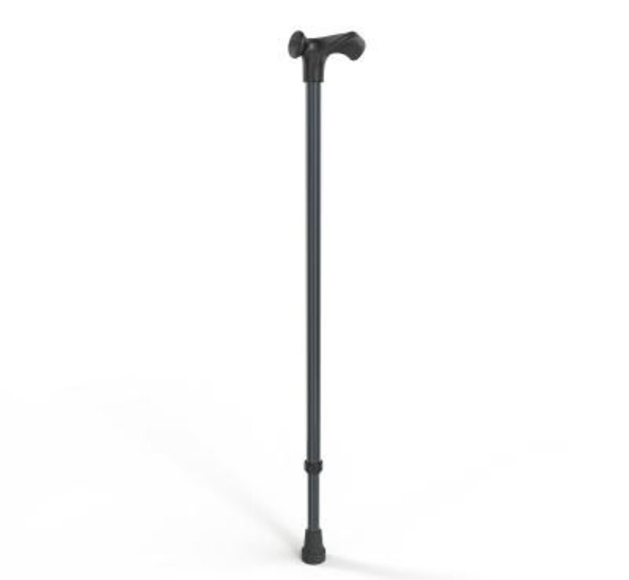 WANDELSTOK ANATOM. LINKS OF RECHTS