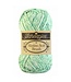 Scheepjes Merino Soft Brush - 255 - Breitner
