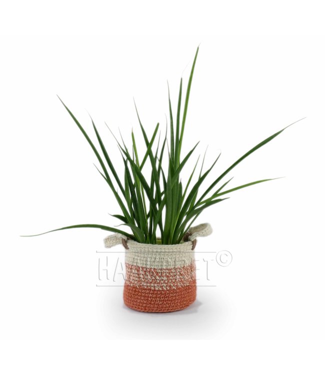 Haakpret Manden en overpotten A5