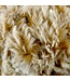 Rellana Rabbit 100g -  18 - beige ocre jaune