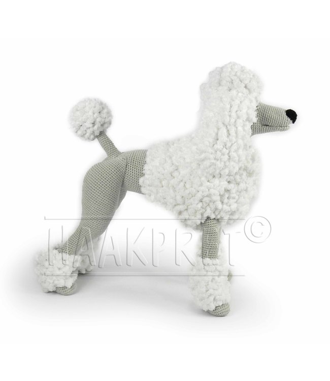 Haakpret Composez-vous: Blanc Paddy Poodle