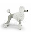Haakpret Composez-vous: Blanc Paddy Poodle