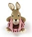 Haakpret Peter Bunny Easter Basket - Engels
