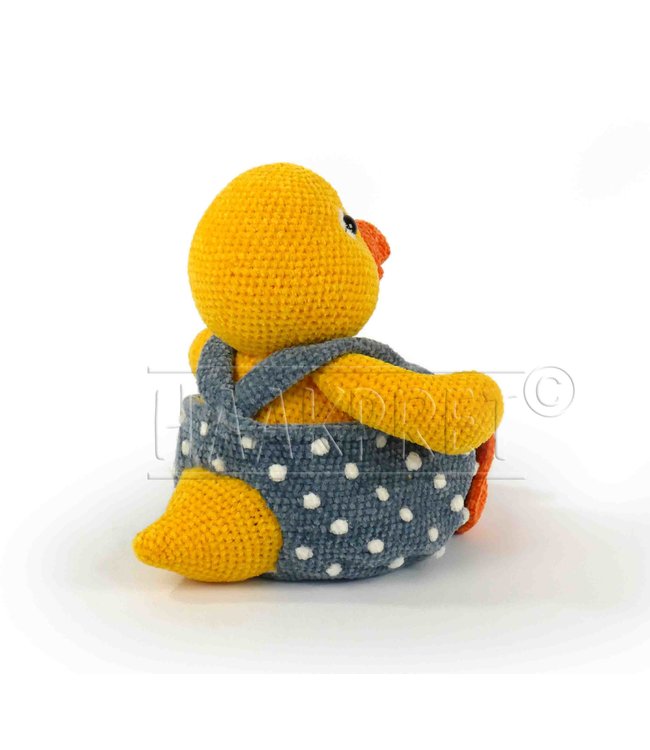 Haakpret Eefje Eendmandje werkbeschrijving A5 - Néerlandais