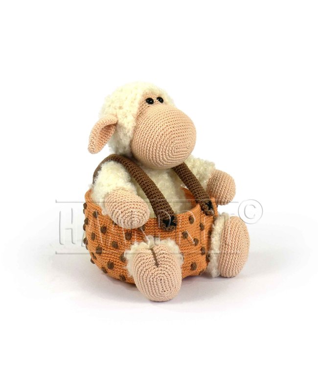 Haakpret Sammie Schaap mandje mandje werkbeschrijving A5 - Néerlandais