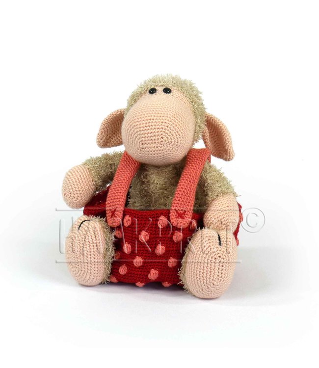 Haakpret Sammie Schaap mandje mandje werkbeschrijving A5 - Néerlandais