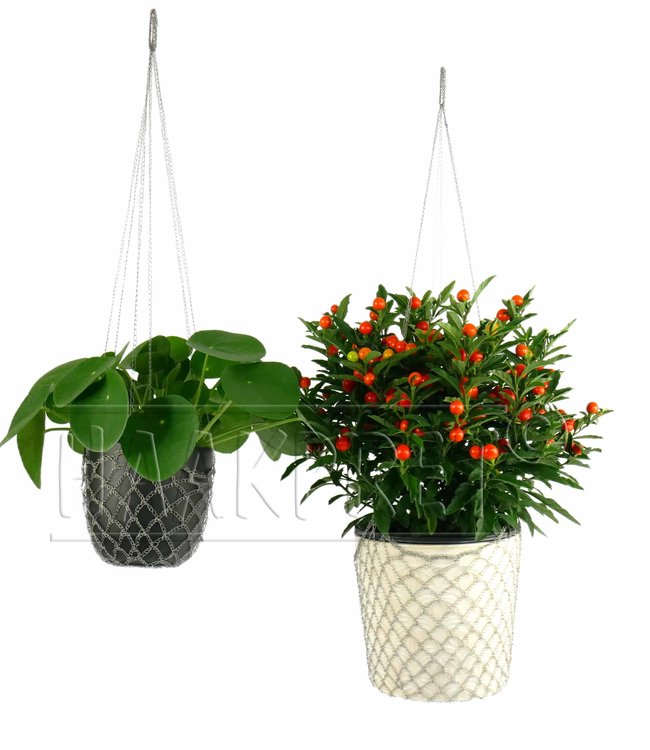 Haakpret Fil d'acier pour le crochet (0,38) - 100m