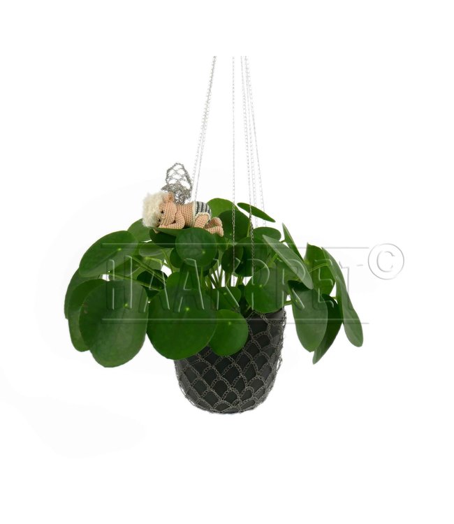 Haakpret Staaldraad om mee te haken (0,38) - 100m