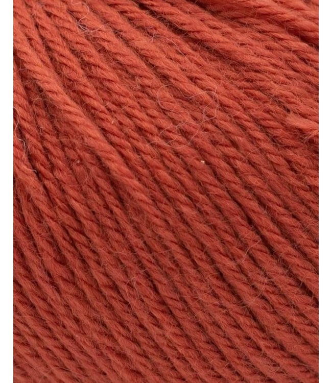 Phildar Phil Caresse - Tomette