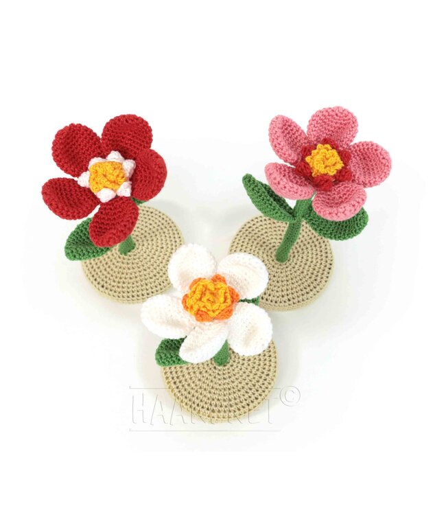 Haakpret Mini Bloempjes -  A5 werkbeschrijving - Anja Toonen