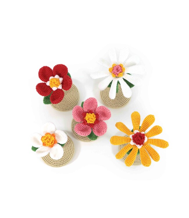 Haakpret Mini Bloempjes -  A5 werkbeschrijving - Anja Toonen