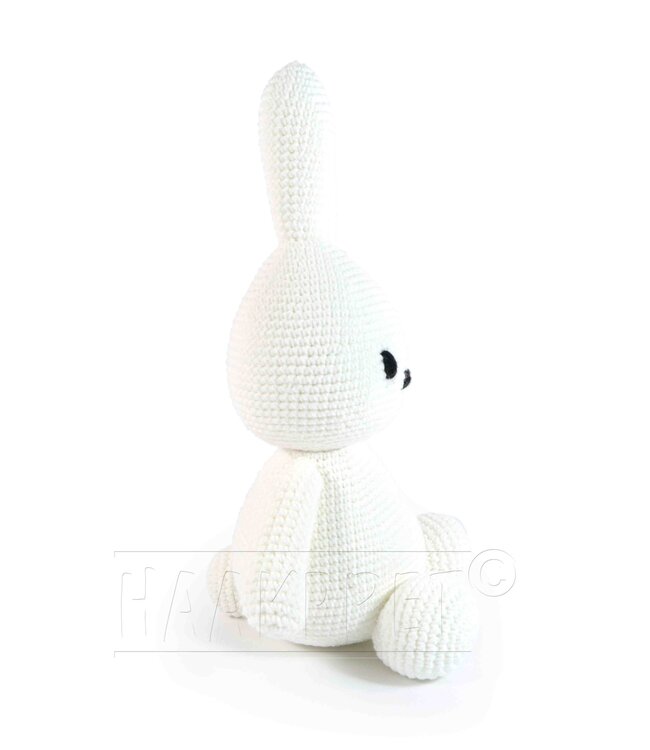 Haakpret Kootje knuffel Kerst - Häkelanleitung A5 (Niederländisch)  - Anja Toonen