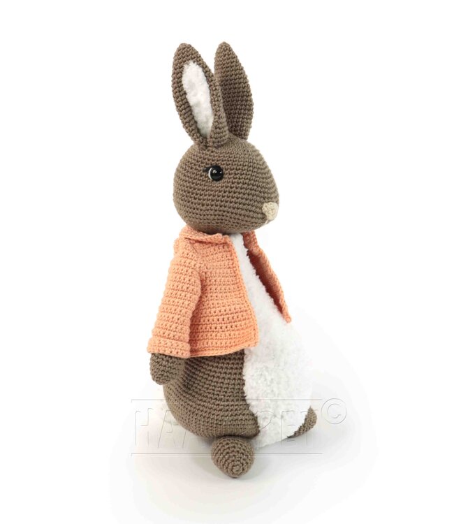 Haakpret Lampe de table lapin - A5 (Néerlandais)   - Anja Toonen