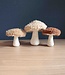 Haakpret Bont Paddestoelen - A5  werkbeschrijving - Anja Toonen