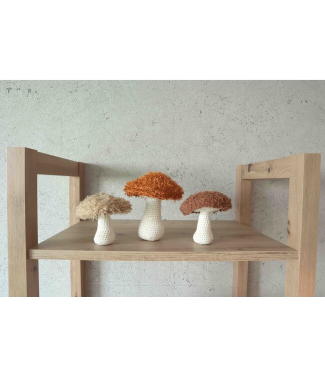 Haakpret Champignons moelleux - A5 (Néerlandais)   - Anja Toonen