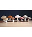 Haakpret Bont Paddestoelen - A5  werkbeschrijving - Anja Toonen